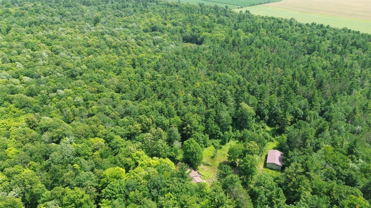 13743W State Highway 77, Hayward WI 54843 - Land house for sale - MLS #1603311 - image9