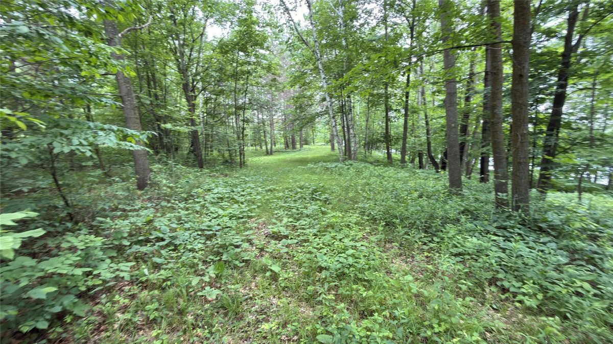 765 270th Ave Cty Rd O, Frederic WI 54837 - Land house for sale - MLS #1602300 - image8