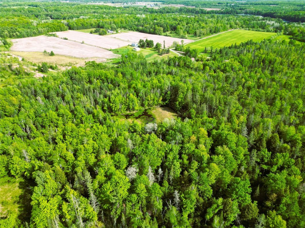 W9902 Flohr Road, Ladysmith WI 54848 - Residential house for sale - MLS #1601560 - image39