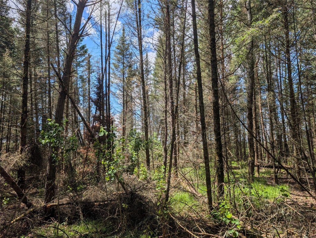 Lot 4 Main Road, Springbrook WI 54875 - Land house for sale - MLS #1602445 - image18