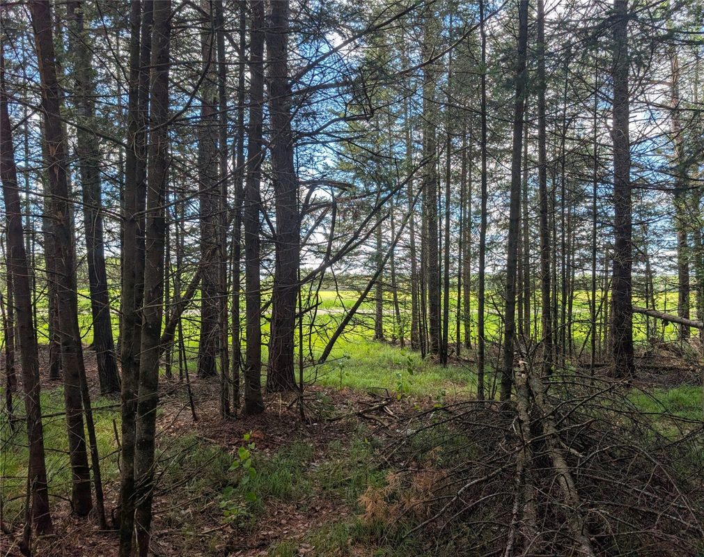 Lot 4 Main Road, Springbrook WI 54875 - Land house for sale - MLS #1602445 - image10