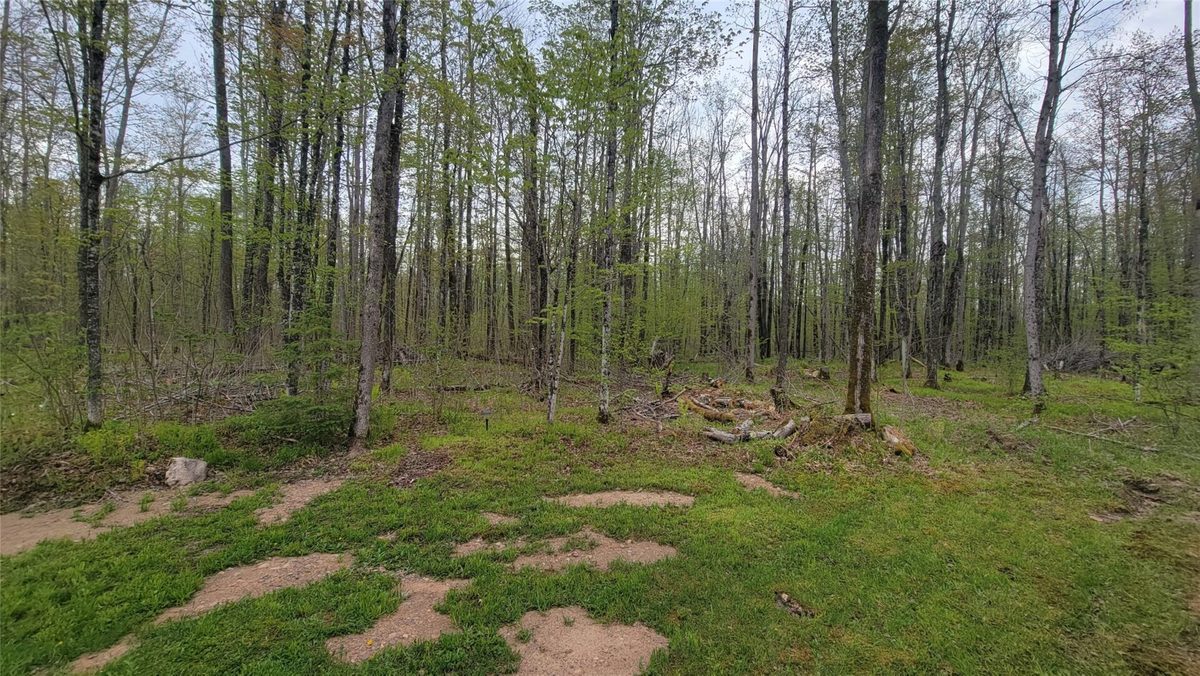 W10389 Fleming Road, Park Falls WI 54552 - Residential house for sale - MLS #1601372 - image18
