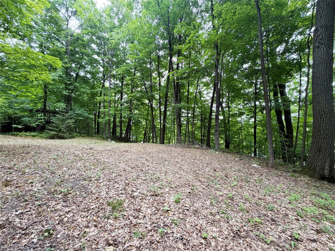 1101 5th Street, Ladysmith WI 54848 - Land house for sale - MLS #1598875 - image8