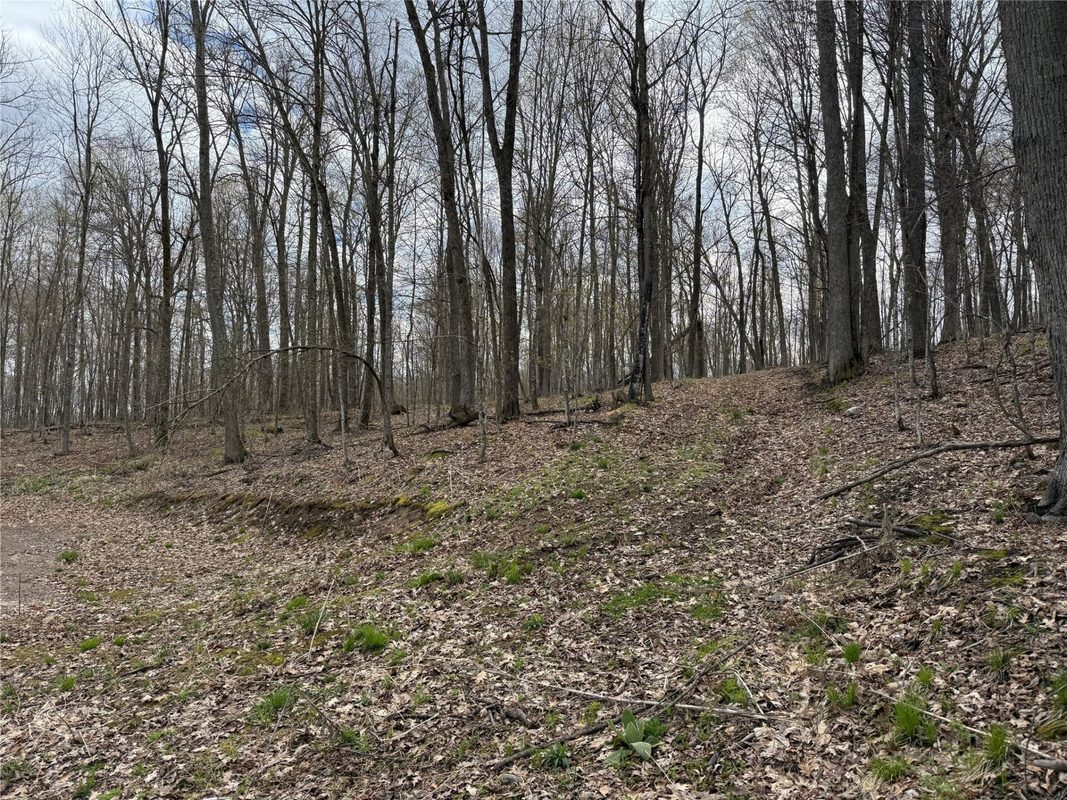 Lot 4 Balsam Drive, Birchwood, WI