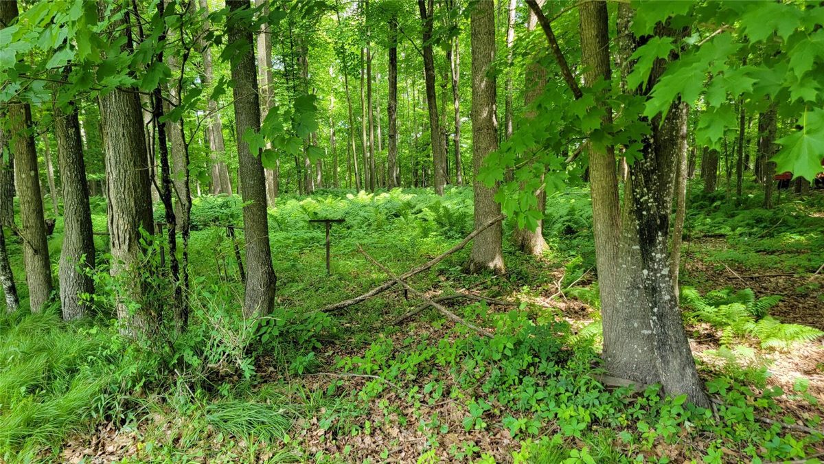 W7724 Bingham Road, Ladysmith, WI