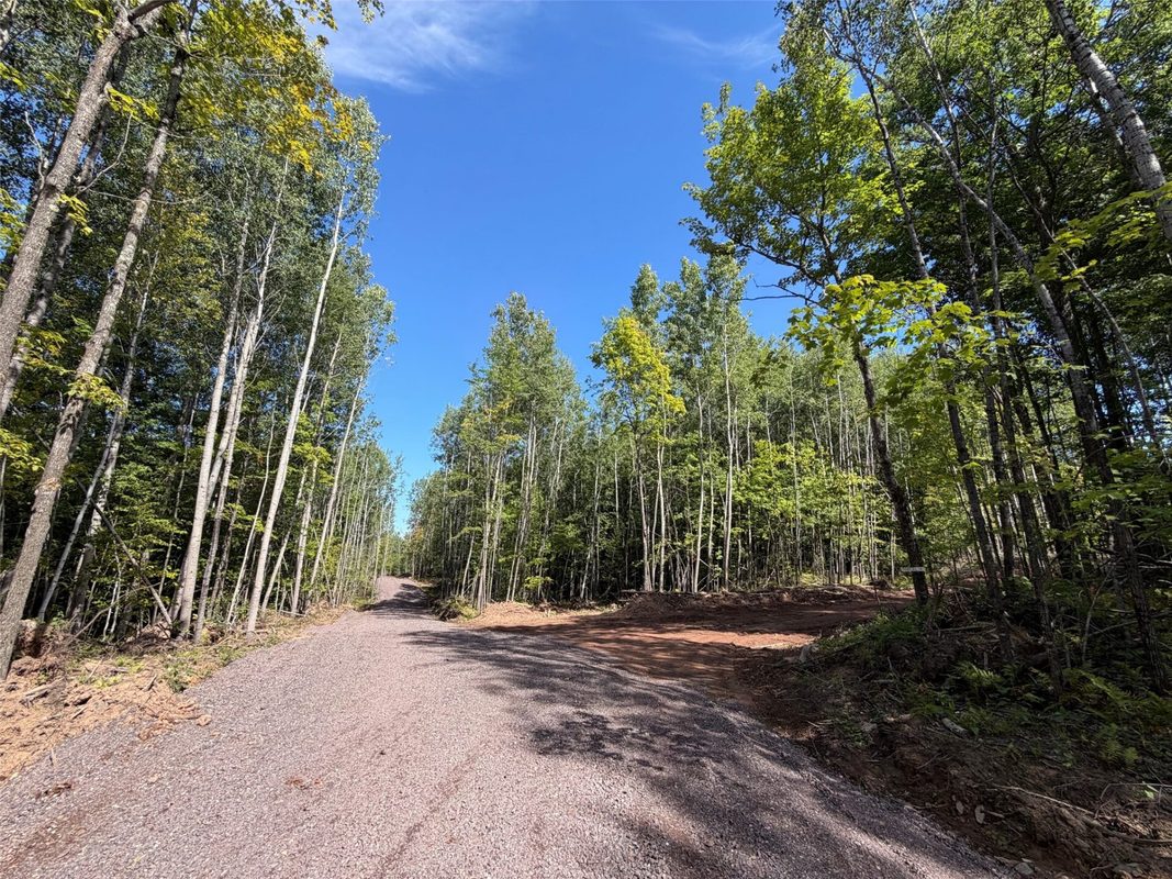 Parcel 4 County Road A, Solon Springs WI 54873 - Land house for sale - MLS #1604811 - image21