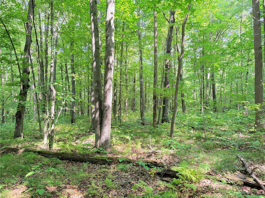 30 Acres County Highway X, Glen Flora WI 54526 - Land house for sale - MLS #1605967 - image11