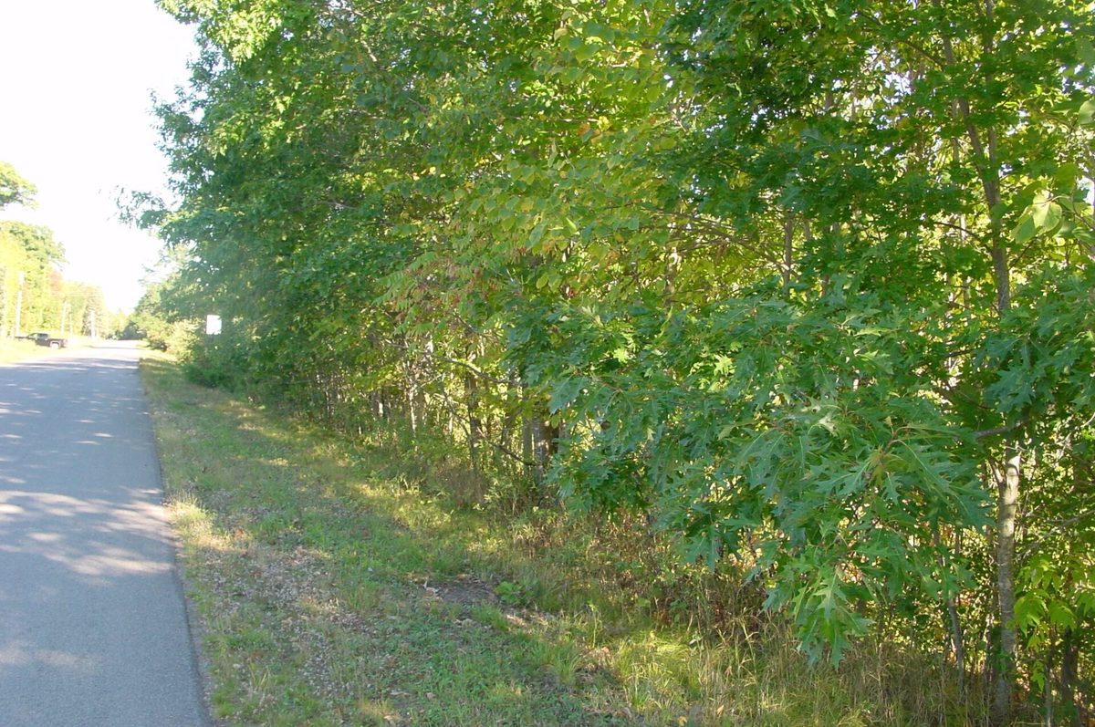 Lot 6 Mae West Road, Ladysmith WI 54848 - Land house for sale - MLS #1605333 - image13
