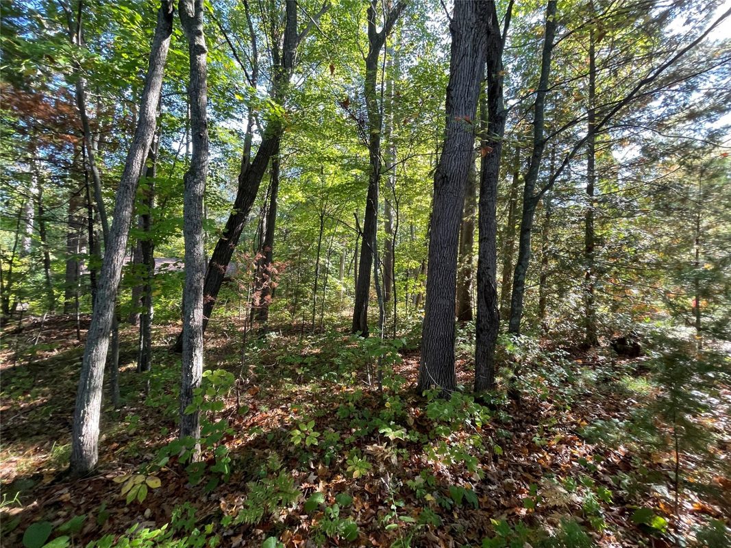 6073 Elsie Road, Stone Lake WI 54876 - Land house for sale - MLS #1602616 - image20