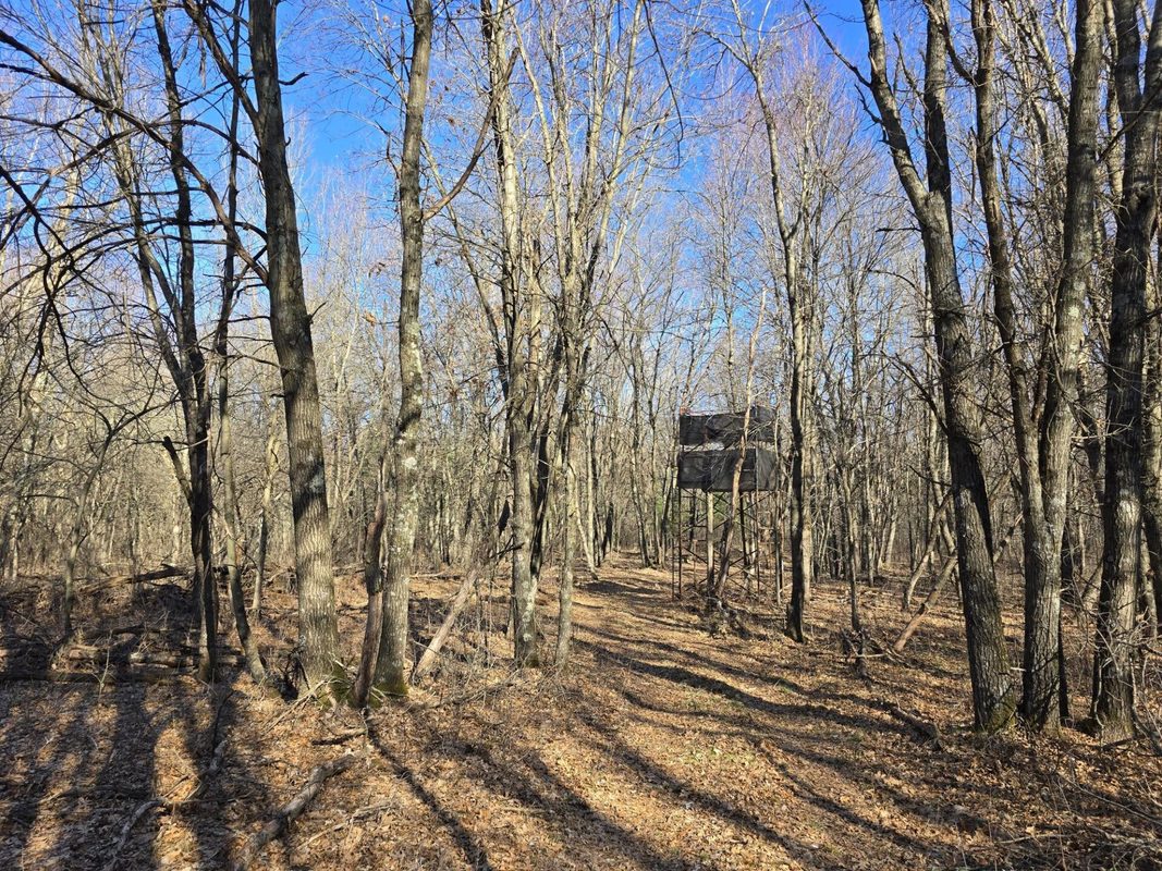 Lot 2 Buck Rub Road Eau Claire WI 54703 — photo 18