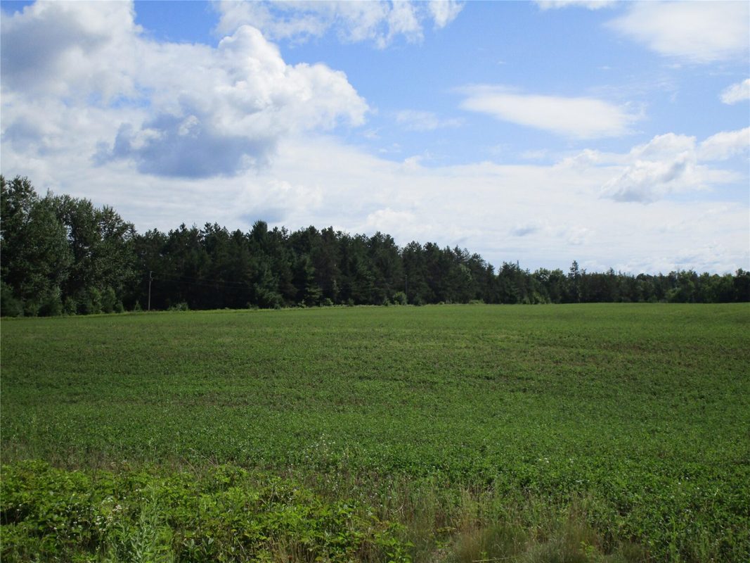 xx River Pine Drive, Ladysmith WI 54848 - Land house for sale - MLS #1601918 - image5