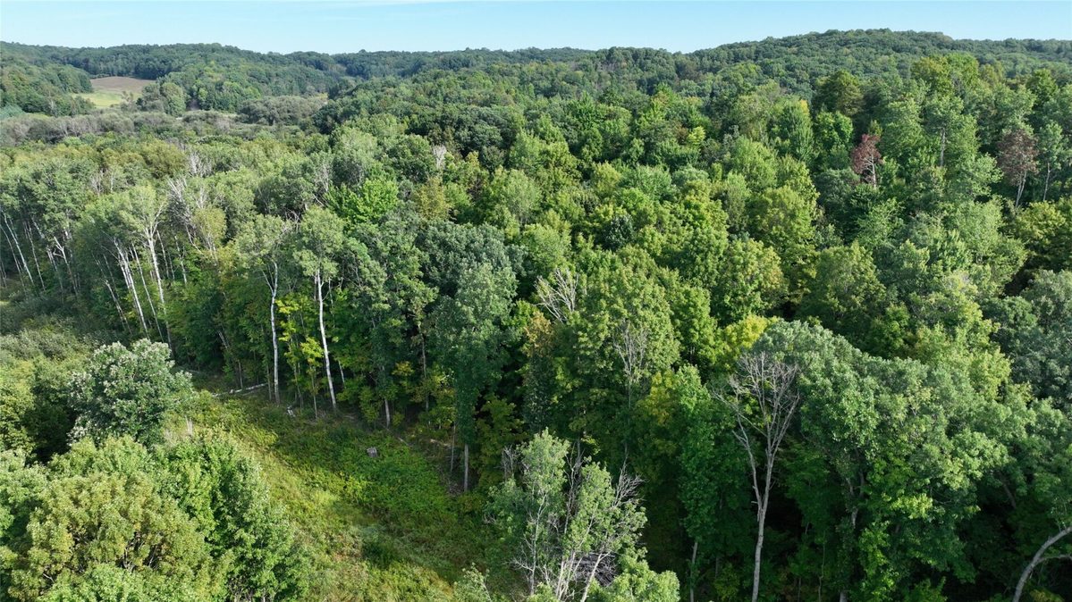 XX County Rd O, Boyceville WI 54725 - Land house for sale - MLS #1604881 - image24