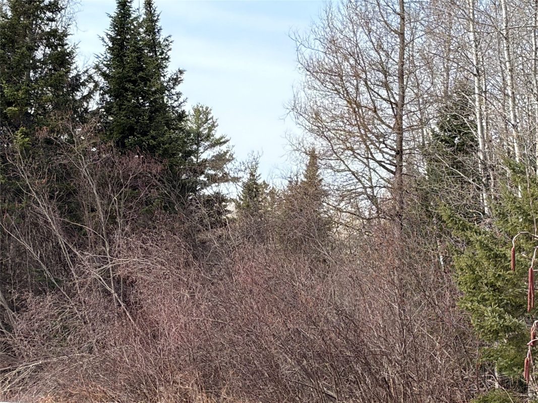 ON CTH F Park Falls WI 54552 — photo 4