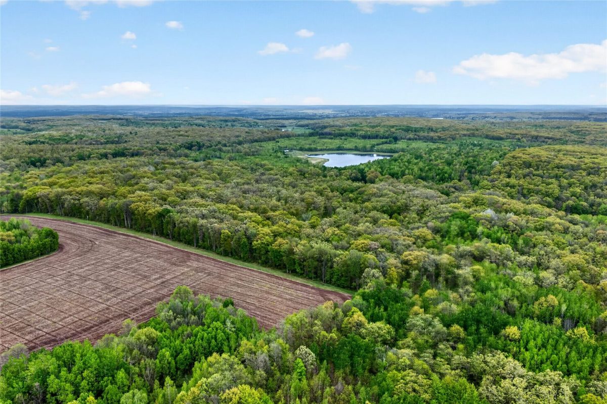N8771 Fye Road, Trego WI 54888 - Residential house for sale - MLS #1601610 - image11