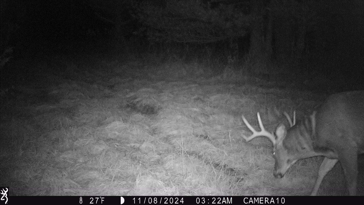 Land at 000 Granton Road, Neillsville, WI 54456 — photo 23