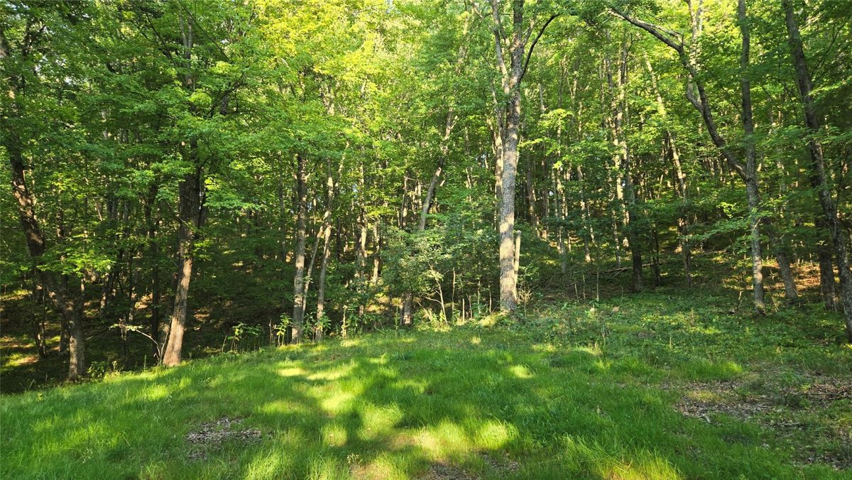 W02 State Highway 64, Colfax WI 54730 - Land house for sale - MLS #1604529 - image27