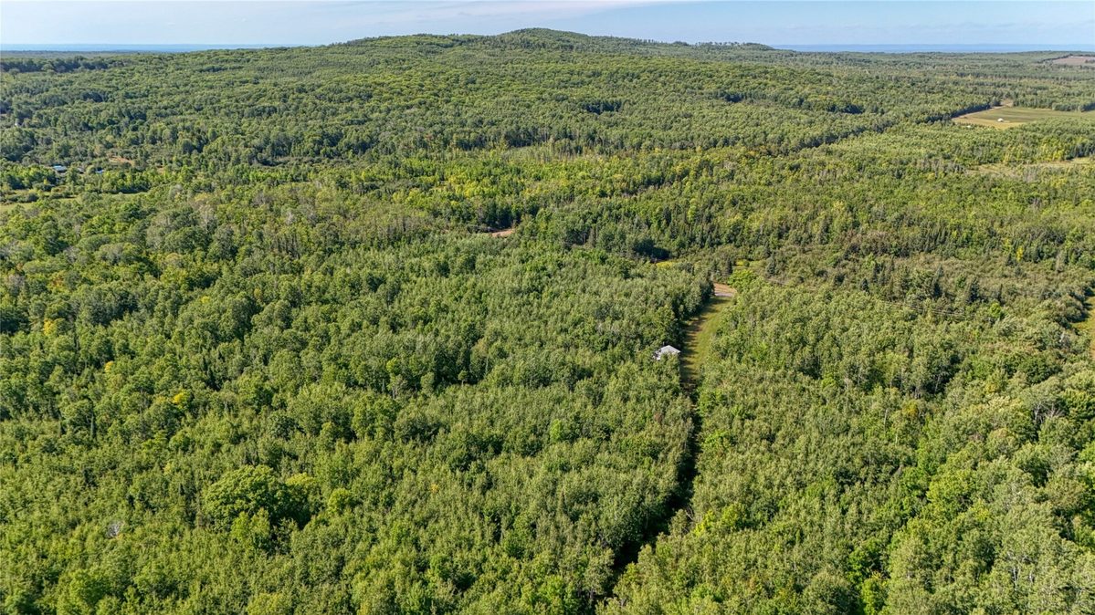 26615 Star Route Road, Bayfield WI 54814 - Land house for sale - MLS #1604800 - image8
