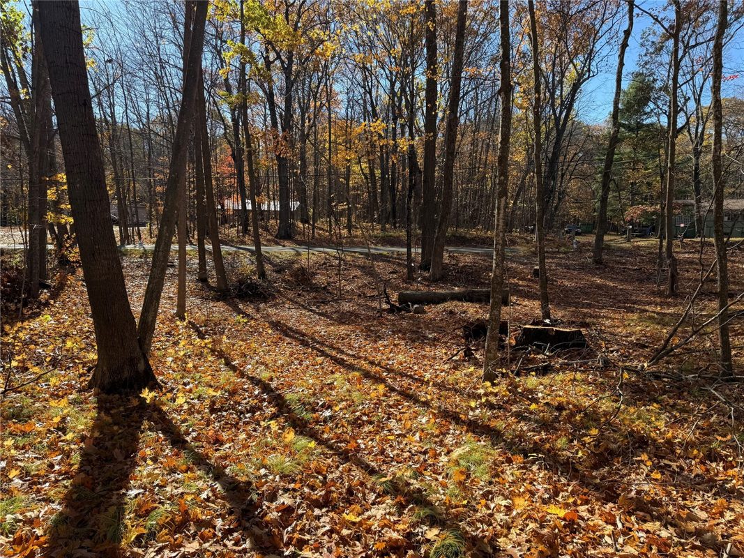 XXX County Hwy MD, Sarona WI 54870 - Land house for sale - MLS #1605948 - image25