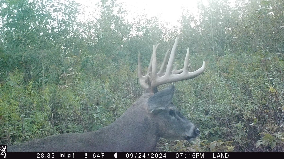 Lot 4 160th Avenue, Turtle Lake, WI — photo 2