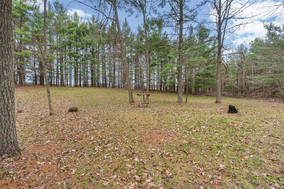 N5353 Thornapple Road, Ladysmith, WI