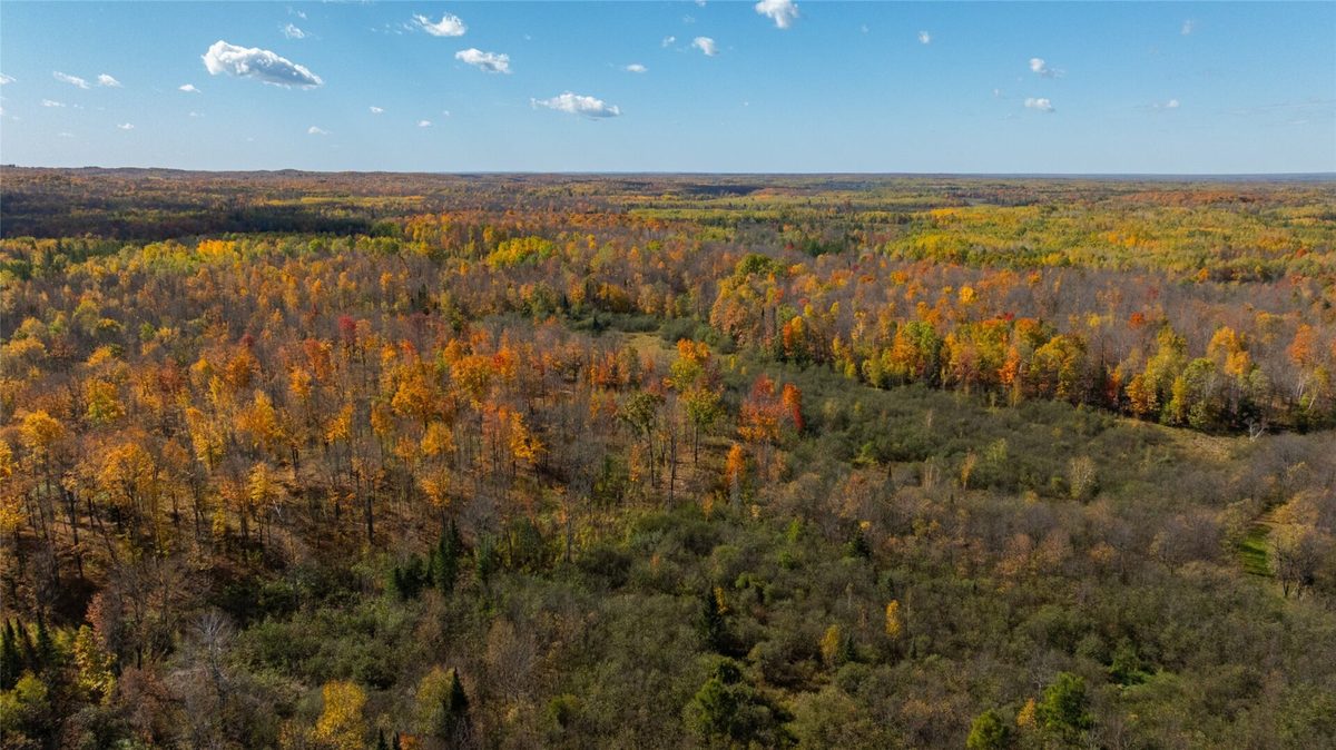 W2621 Goetzke Rd, Prentice WI 54556 - Land house for sale - MLS #1605822 - image4
