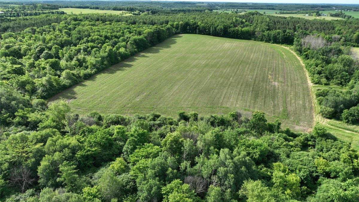 XX County Road BB, Baldwin WI 54002 - Land house for sale - MLS #1602567 - image5