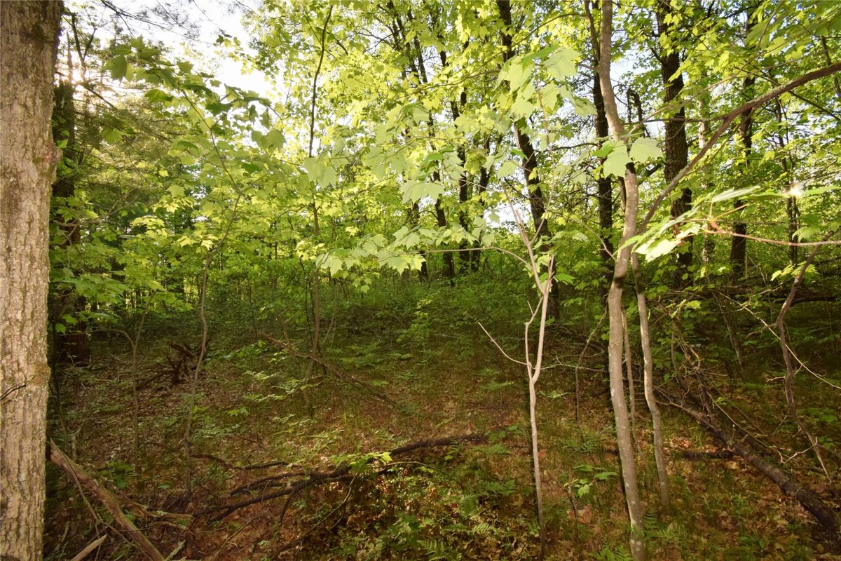 Lot 31 Setting Sun Trail Way, Danbury WI 54830 - Land house for sale - MLS #1601782 - image14