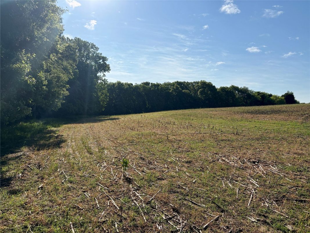 15.01 Acres 160th Avenue, Maiden Rock WI 54750 - Land house for sale - MLS #1604580 - image27