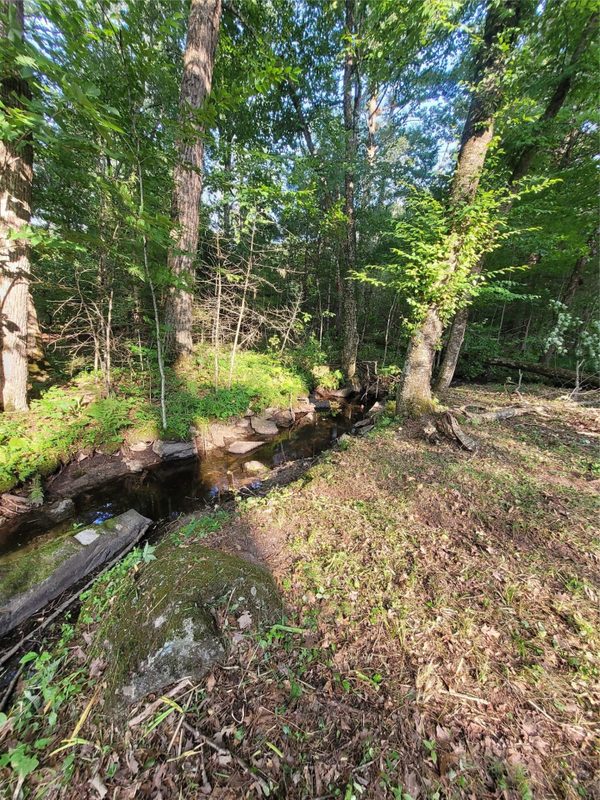 N900 Resewood Avenue, Neillsville WI 54456 - Land house for sale - MLS #1597245 - image48