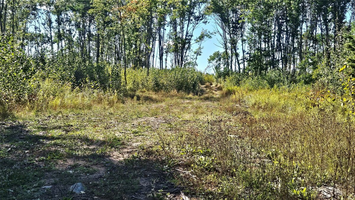 1-7 Larson Road, Hayward WI 54843 - Land house for sale - MLS #1605167 - image8