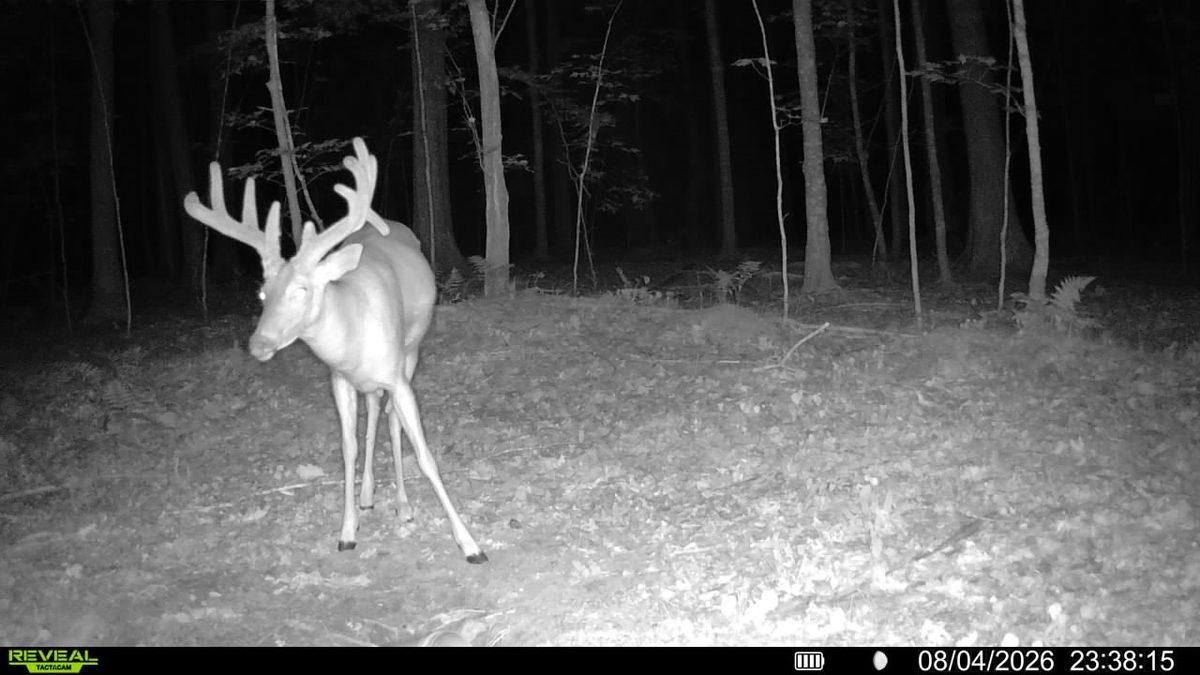 1,711 Acres County Highway C & Comet Road, Exeland WI 54835 - Land house for sale - MLS #1595405 - image45