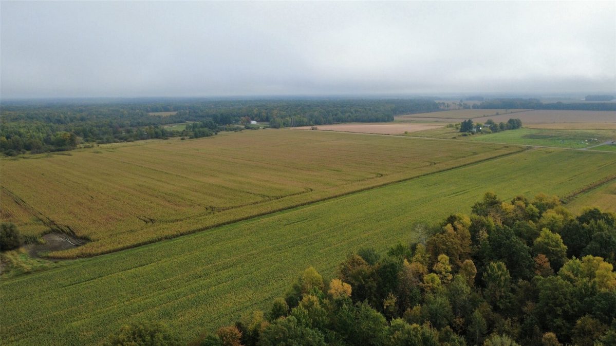 000 Miller Avenue, Owen WI 54460 - Land house for sale - MLS #1605509 - image11