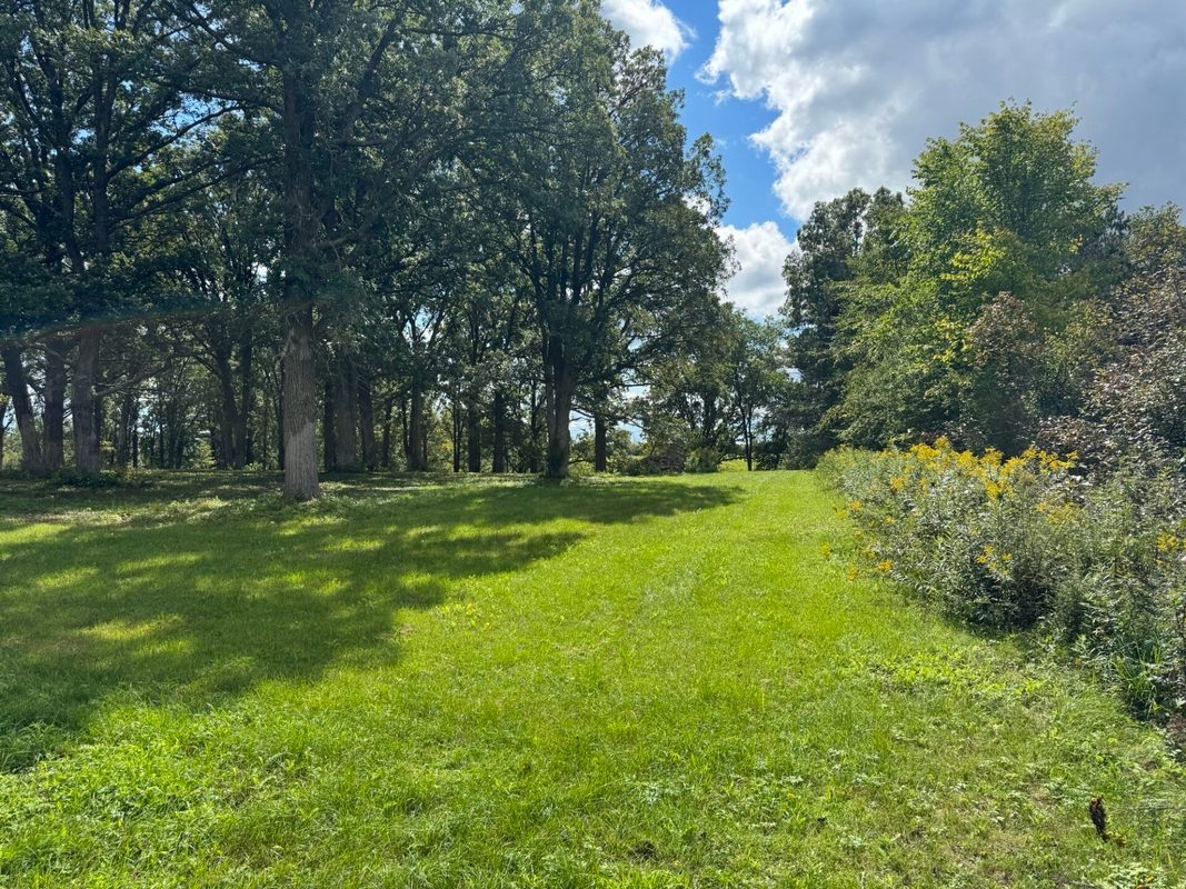 Lot 28 21st Street, Rice Lake WI 54868 - Land house for sale - MLS #1603229 - image25