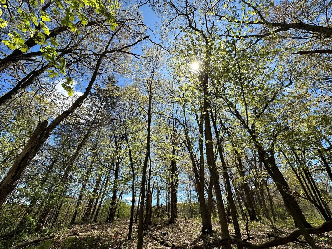 1438 Pleasant Hill Road, Eau Claire WI 54703 - Land house for sale - MLS #1602766 - image40