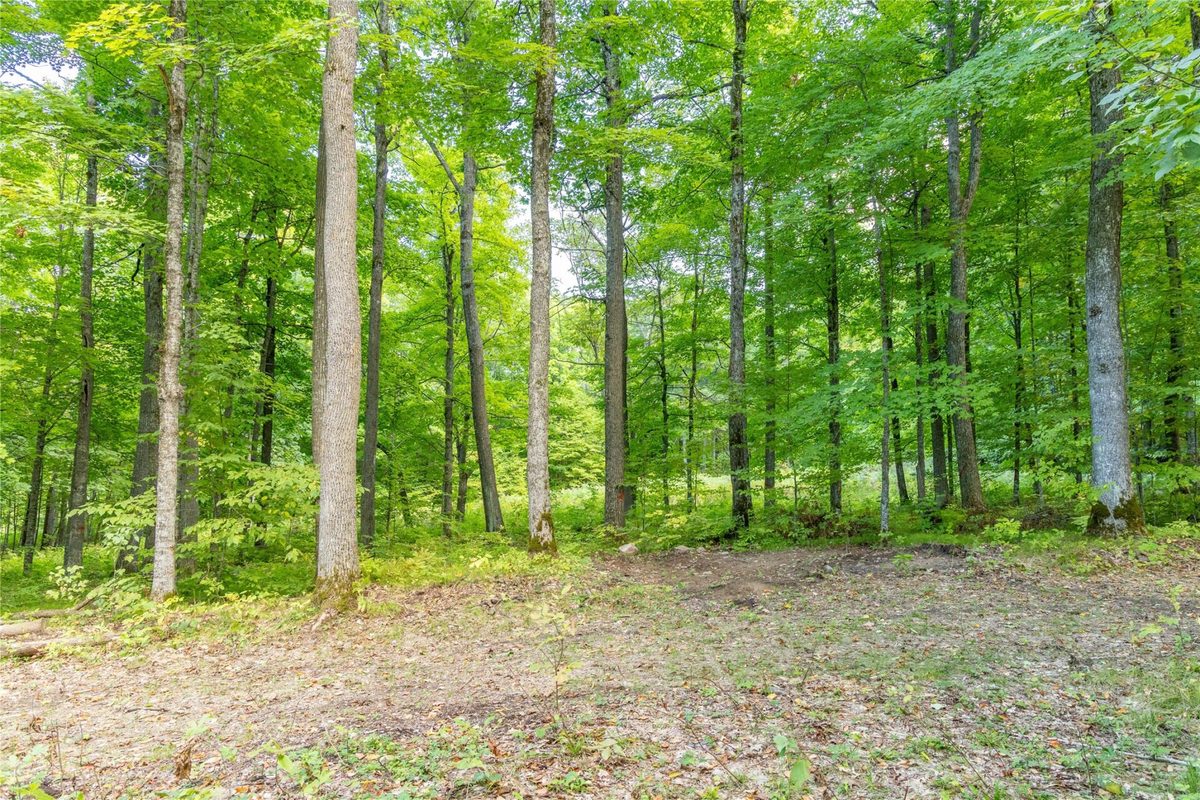 38.2 Acres Vierck Lane, Exeland WI 54835 - Land house for sale - MLS #1605286 - image19