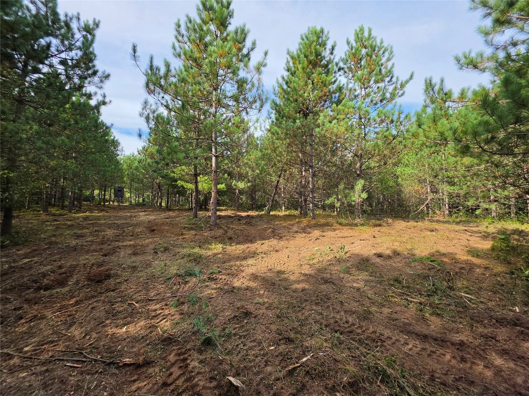 20 Acres Adams Road, Bruce WI 54819 - Land house for sale - MLS #1602683 - image23