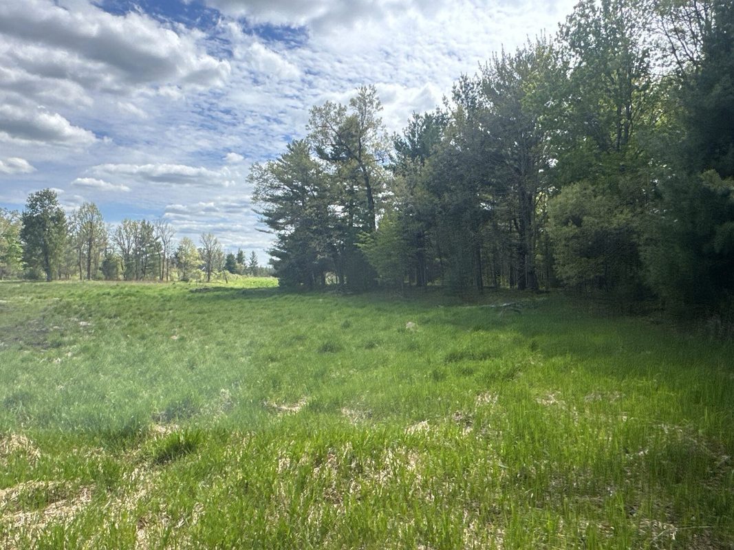 25275 Bruss Road, Webster WI 54893 - Land house for sale - MLS #1602158 - image24