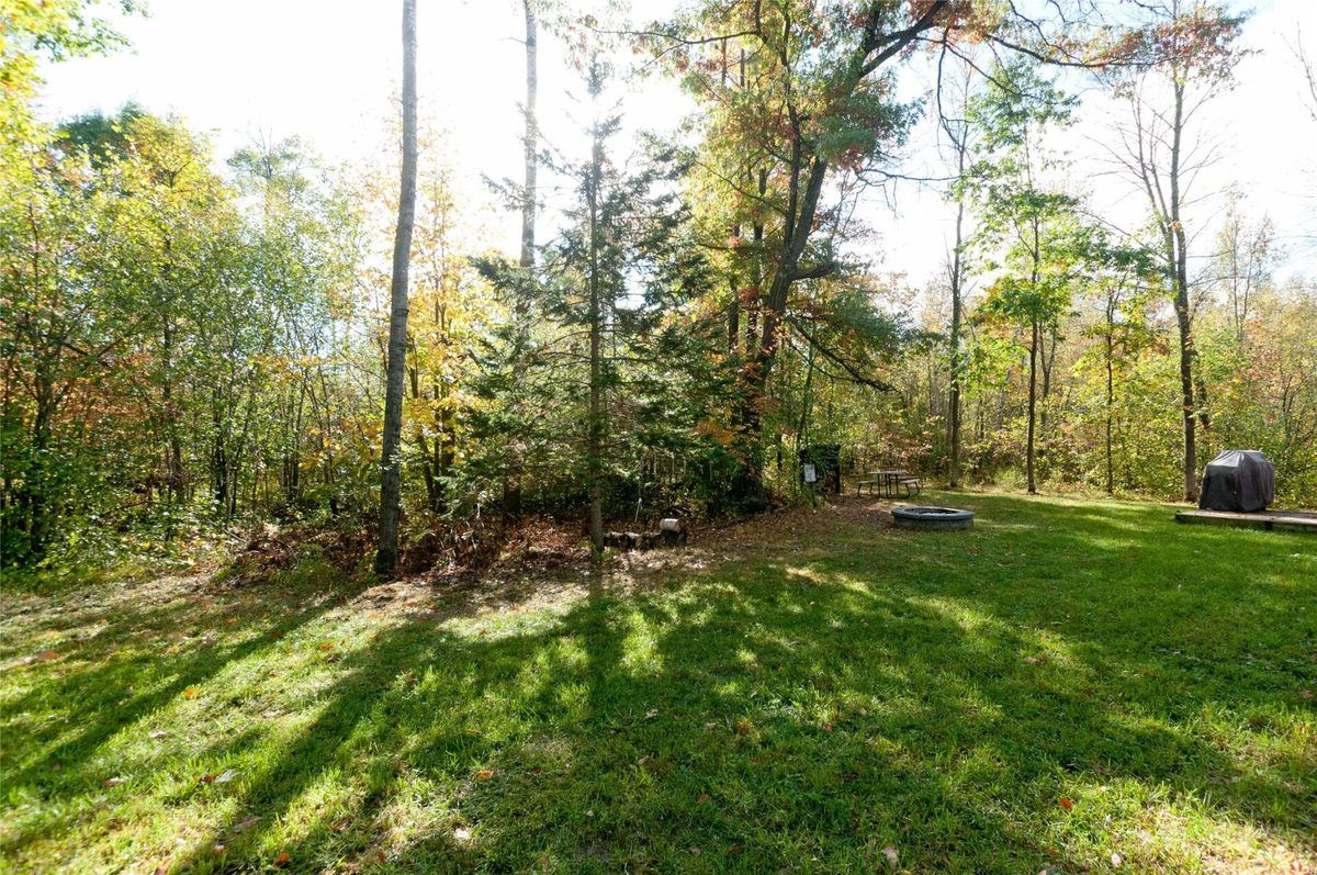 2873 28 1/2 Avenue, Birchwood WI 54817 - Land house for sale - MLS #1605654 - image8