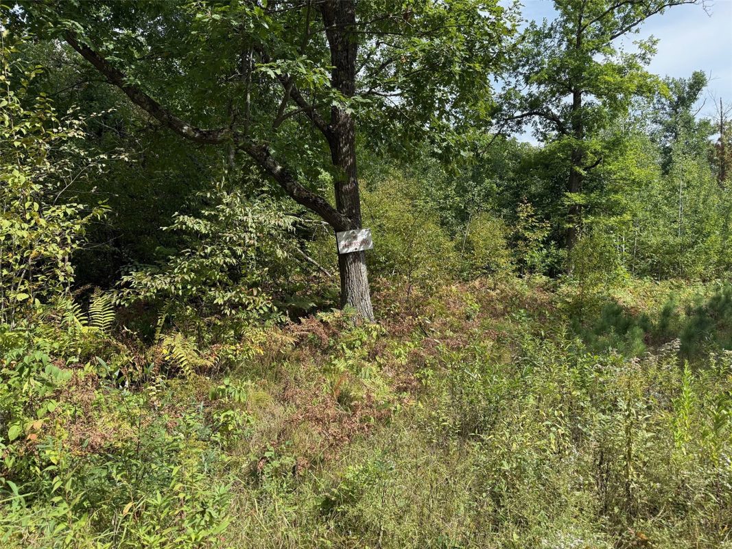 0 Edgewood Drive, Springbrook WI 54875 - Land house for sale - MLS #1605076 - image4