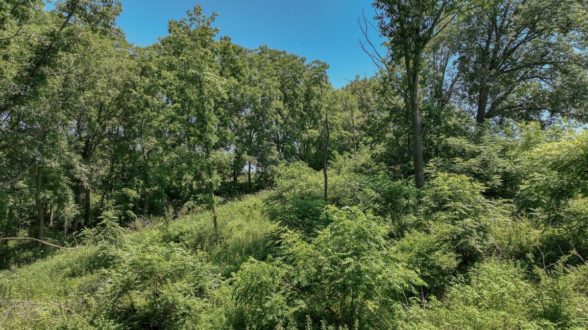 00 Garves Coulee Road, Bangor WI 54614 - Land house for sale - MLS #1603270 - image17