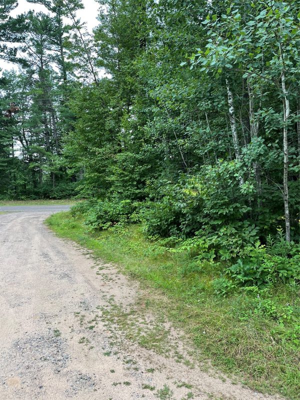 16876 Southview Trail, Stone Lake WI 54876 - Land house for sale - MLS #1599724 - image3