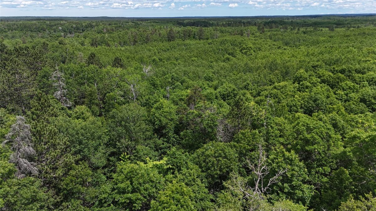 12997 Mail Road, Gordon WI 54838 - Residential house for sale - MLS #1602637 - image31