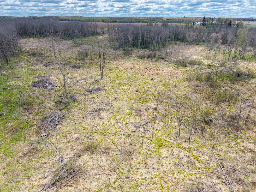 40 Acres Anderson Road & School Road, Glen Flora WI 54526 - Land house for sale - MLS #1601150 - image3