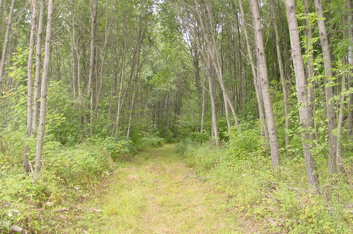 N5391 Hwy. 73, Ingram WI 54526 - Residential house for sale - MLS #1604886 - image41