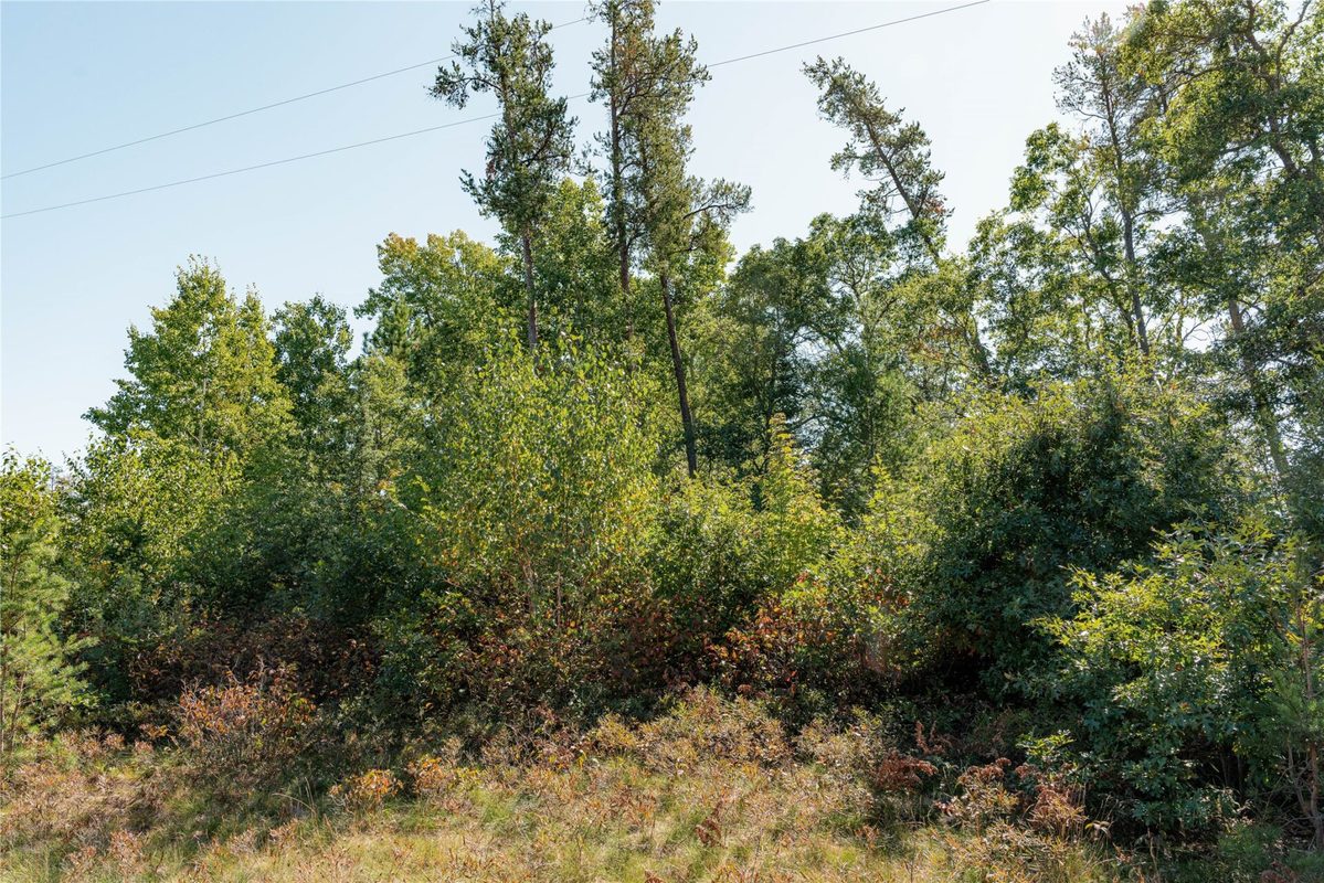 0 County Road T, Minong WI 54859 - Land house for sale - MLS #1605534 - image5