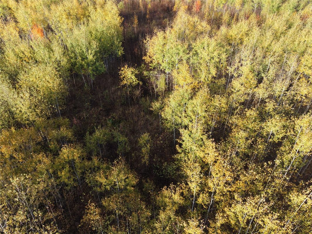 On County Highway W, Winter WI 54896 - Land house for sale - MLS #1605419 - image27