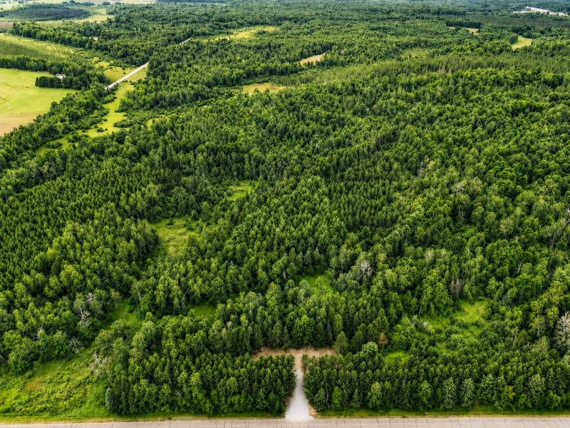 20 Acres Adams Road