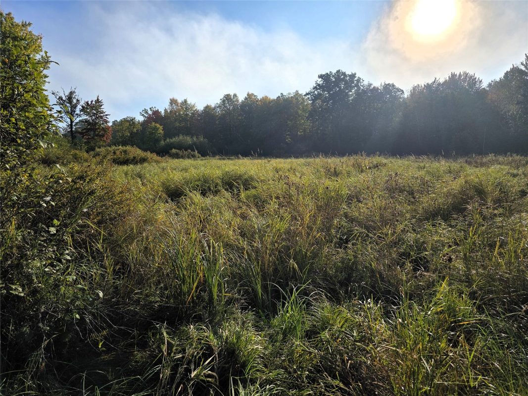 N 3368 Sawdust Rd., Bruce WI 54819 - Residential house for sale - MLS #1605552 - image36