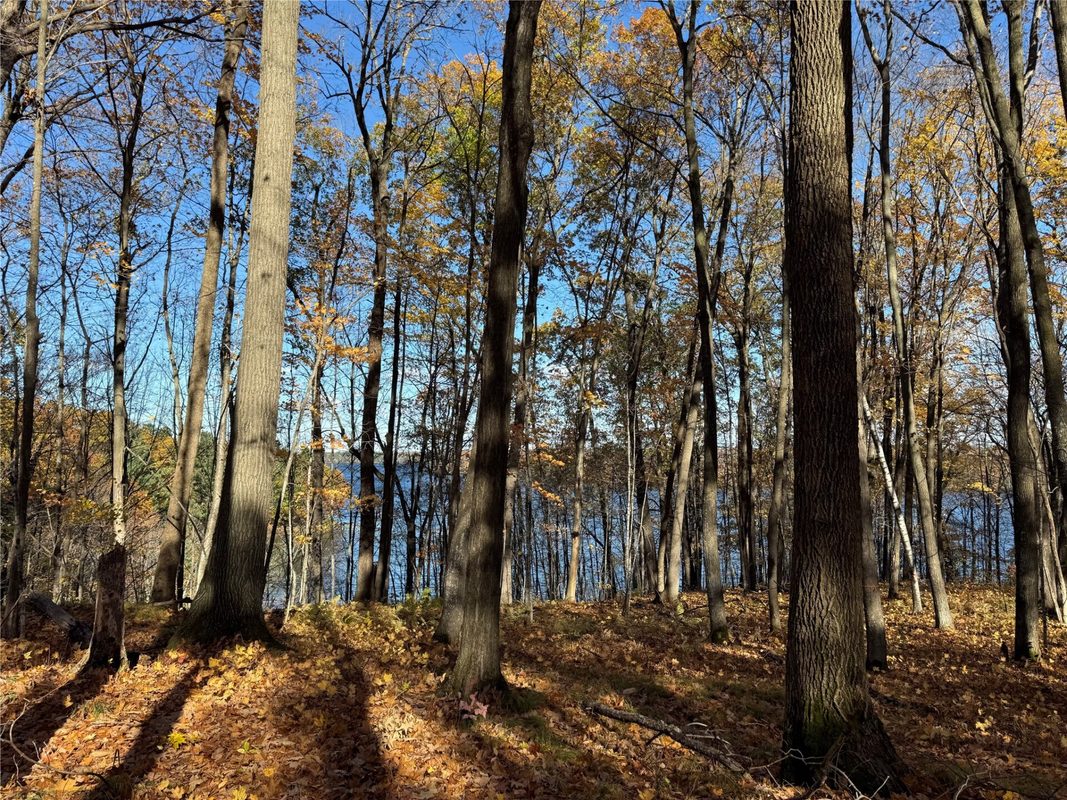 XXX County Hwy MD, Sarona WI 54870 - Land house for sale - MLS #1605948 - image26