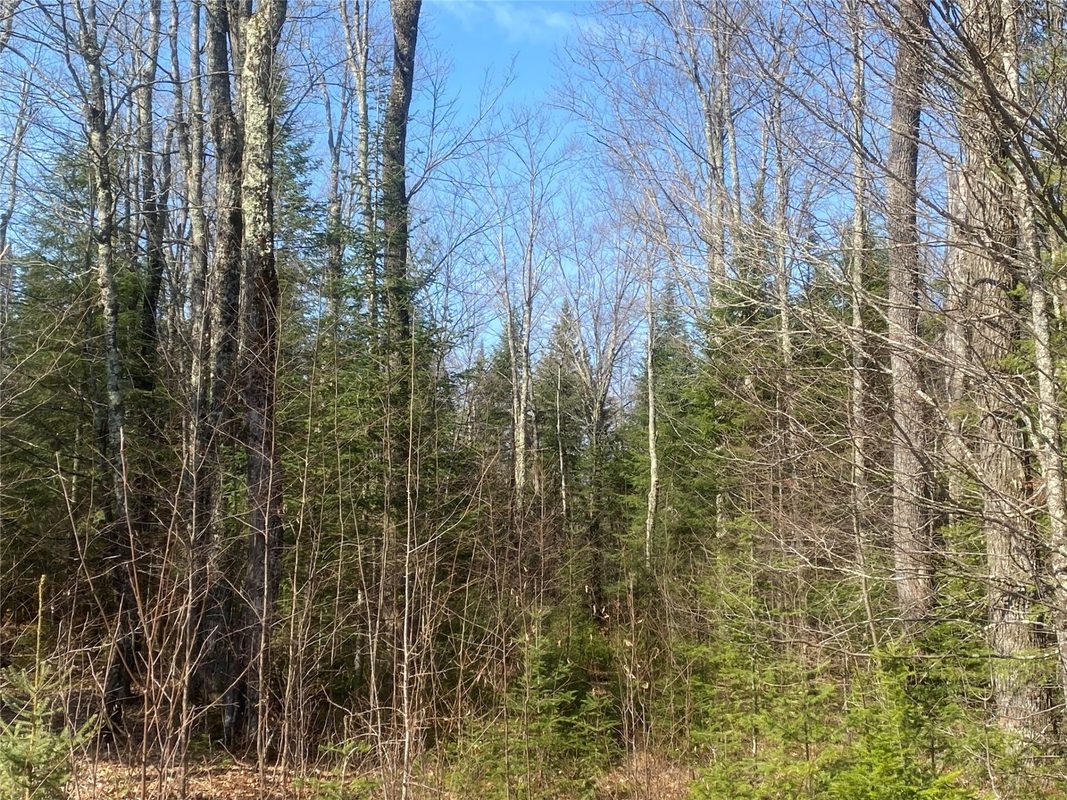 ON CTH F Park Falls WI 54552 — photo 8